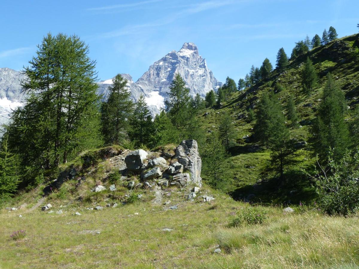 Le Petit Refuge Cervinia Apartment Breuil-Cervinia Exterior foto